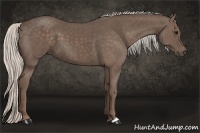 Horse Color:Silver Black 