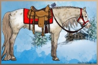 Horse Color:Liver Red Dun Frame Appaloosa 