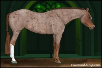 Horse Color:Red Roan 