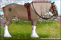 Horse Color:Chocolate Palomino 