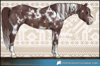 Horse Color:White Spotted Chocolate Brown 