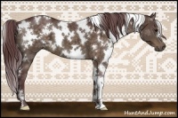 Horse Color:White Spotted Chocolate Bay 
