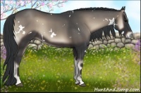 Horse Color:White Spotted Blue Onyx 