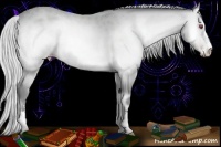 Horse Color:Silver Amber Champagne Chinchilla Onyx Sabino