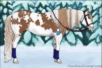 Horse Color:White Spotted Chestnut Splash