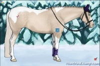 Horse Color:Chocolate Palomino Pearl Tobiano 