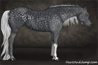 Horse Color:Silver Smoky Black Chinchilla 