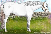 Horse Color:Red Dun Roan Splash Varnish