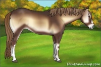 Horse Color:Red Onyx 