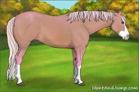 Horse Color:Watercolor Silver Bay Splash 