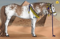 Horse Color:White Spotted Liver Chestnut Sabino Rabicano 