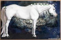 Horse Color:Smoky Blue Roan Splash Near Fewspot 