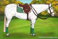 Horse Color:Bay Dun Splash Appaloosa 