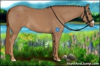 Horse Color:Red Roan 