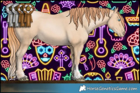 Horse Color:Buckskin Pearl and Buckskin Pearl