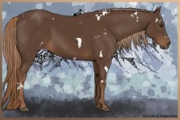 Horse Color:White Spotted Liver Chestnut 