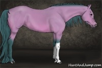 Horse Color:Watercolor Bay 
