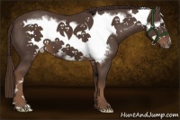 Horse Color:Liver Chestnut Frame 