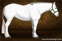 Horse Color:Chestnut Snowcap 