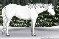 Horse Color:Gray Buckskin Roan Sabino 
