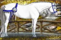 Horse Color:Liver Chestnut Splash Frame Blanket 