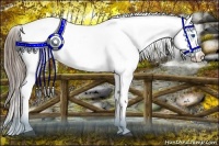 Horse Color:Liver Red Dun Sabino Splash Appaloosa Rabicano