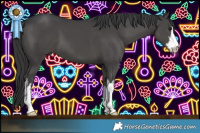 Horse Color:White Spotted Black