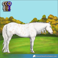 Horse Color:White Spotted Gold Cream Champagne Pearl Appaloosa 