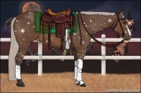 Horse Color:Silver Brown 