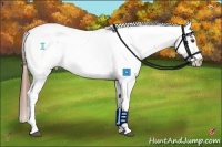 Horse Color:Chestnut Tobiano Snowcap 