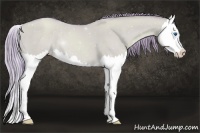Horse Color:Watercolor Gold Champagne Dun Splash 