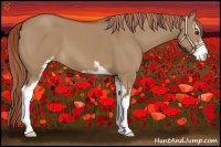 Horse Color:Red Dun Sabino