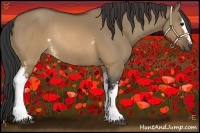 Horse Color:White Spotted Brown Dun Rabicano 