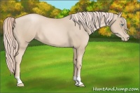 Horse Color:Palomino Pearl 