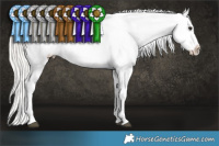 Horse Color:White Spotted Silver Brown Appaloosa 