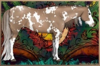 Horse Color:White Spotted Black Pearl Splash