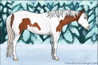 Horse Color:Silver Bay Splash Tobiano