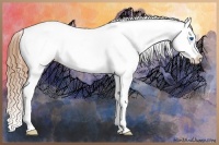 Horse Color:Red Dun Splash Tobiano Frame Varnish Rabicano