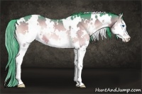 Horse Color:Watercolor White Spotted Bay Onyx Splash Rabicano 