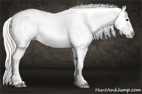Horse Color:White Spotted Silver Smoky Black Tobiano Blanket