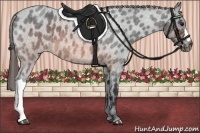 Horse Color:Brown Roan Varnish 