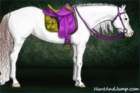 Horse Color:Bay Splash Tobiano Varnish