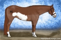 Horse Color:Chestnut Frame 