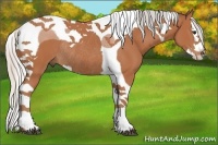 Horse Color:Silver Bay Splash Tobiano Rabicano