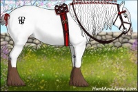 Horse Color:White Spotted Liver Chestnut Appaloosa 