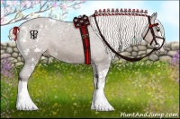 Horse Color:Silver Black Sabino Appaloosa 