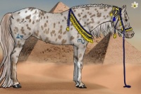 Horse Color:Chocolate Palomino Varnish 