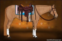 Horse Color:Chestnut Brindle