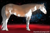 Horse Color:Bay Sabino Splash 