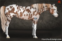 Horse Color:Liver Chestnut Sabino Splash Blanket 